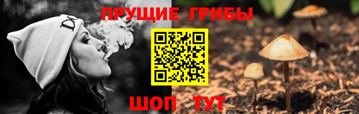 Галлюциногенные грибы Psilocybe  Псилоцибиновые грибы мухоморы  Вход с VPN  Асбест 